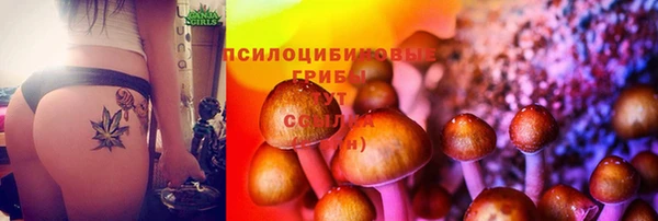 гашик Богородицк