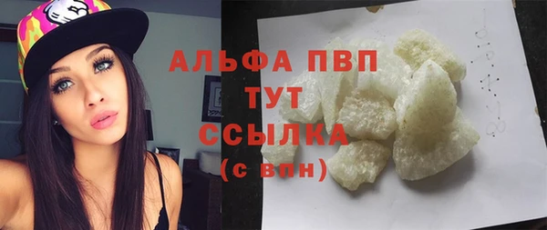 индика Богородск