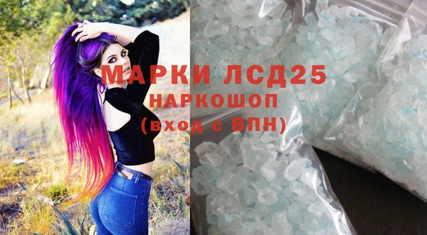 гашик Богородицк