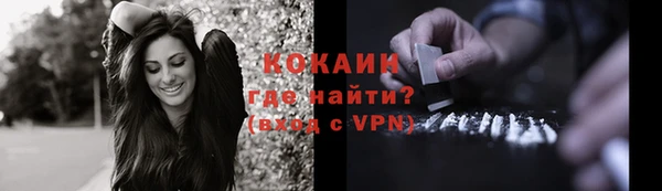 гашик Богородицк