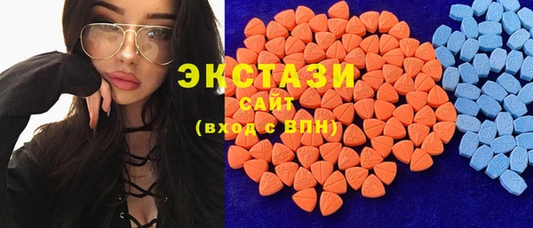 индика Богородск