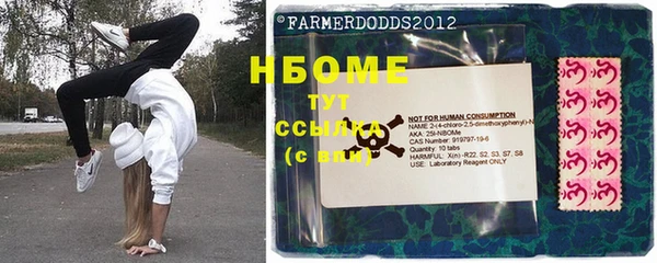 индика Богородск