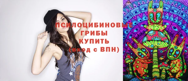 индика Богородск
