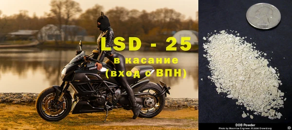 индика Богородск