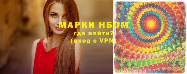 индика Богородск