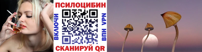 Псилоцибиновые грибы мухоморы Дмитриев