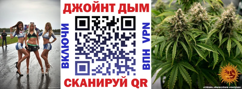 Шишки марихуана индика  хочу наркоту  Дмитриев 